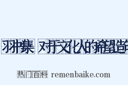 羽书集·对于文化人的希望造句是什么意思的图片